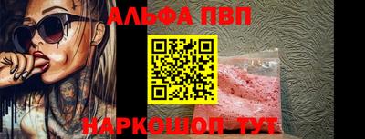 тгк Новодвинск
