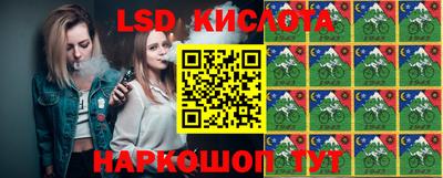 ешки Новозыбков