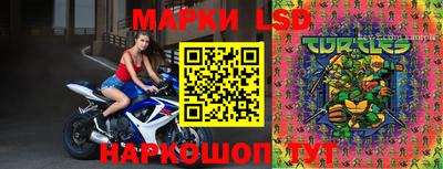 тгк Новодвинск