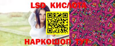 тгк Новодвинск