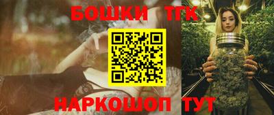 тгк Новодвинск