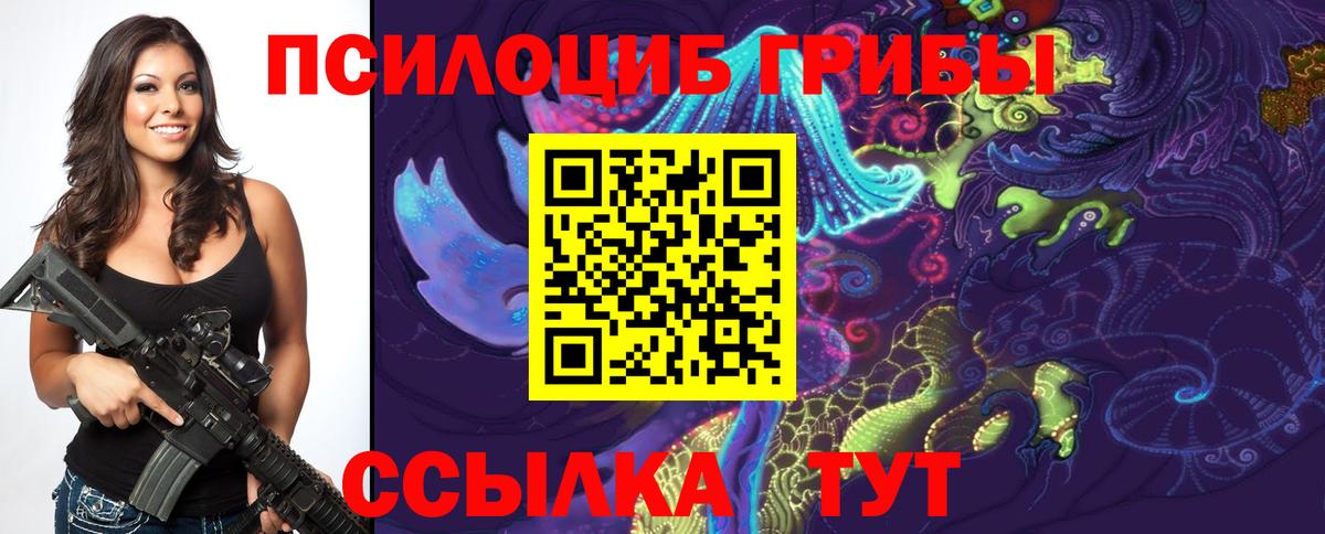 Белогорск  Псилоцибиновые грибы Psilocybine cubensis  Вход с VPN 